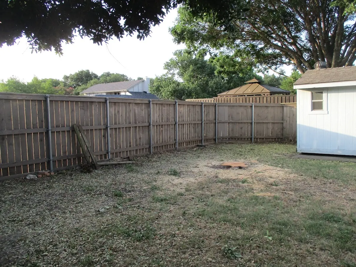 Cleared yard after professional tree removal in Epping